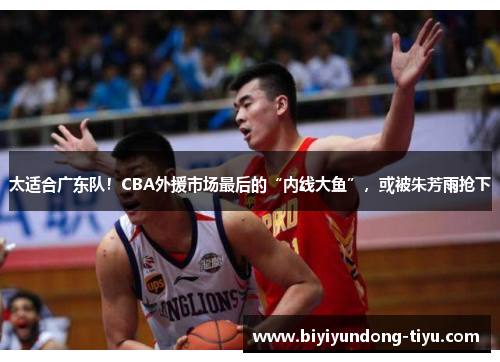 太适合广东队！CBA外援市场最后的“内线大鱼”，或被朱芳雨抢下